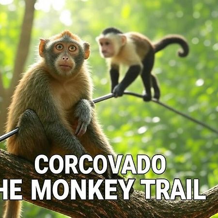 Corcovado The Monkey Trail Hotel Drake Bay Exterior photo